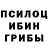 Галлюциногенные грибы мицелий Maks Galik