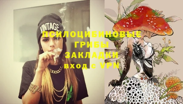 эйфоретик Инсар